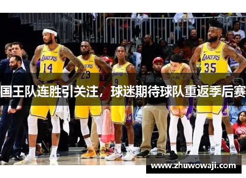国王队连胜引关注，球迷期待球队重返季后赛