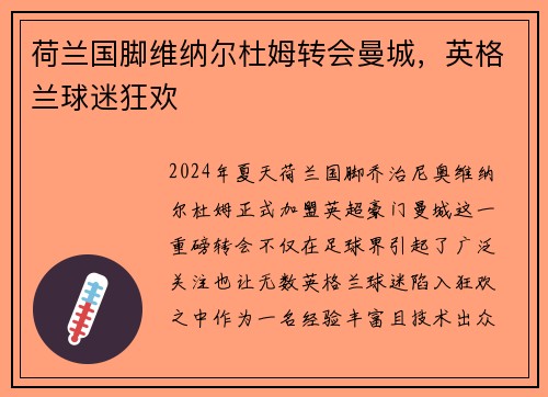 荷兰国脚维纳尔杜姆转会曼城，英格兰球迷狂欢